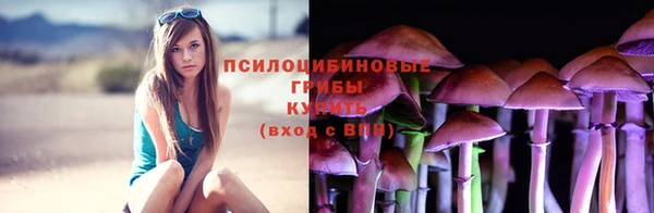 каннабис Алексеевка