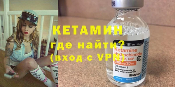 индика Кулебаки